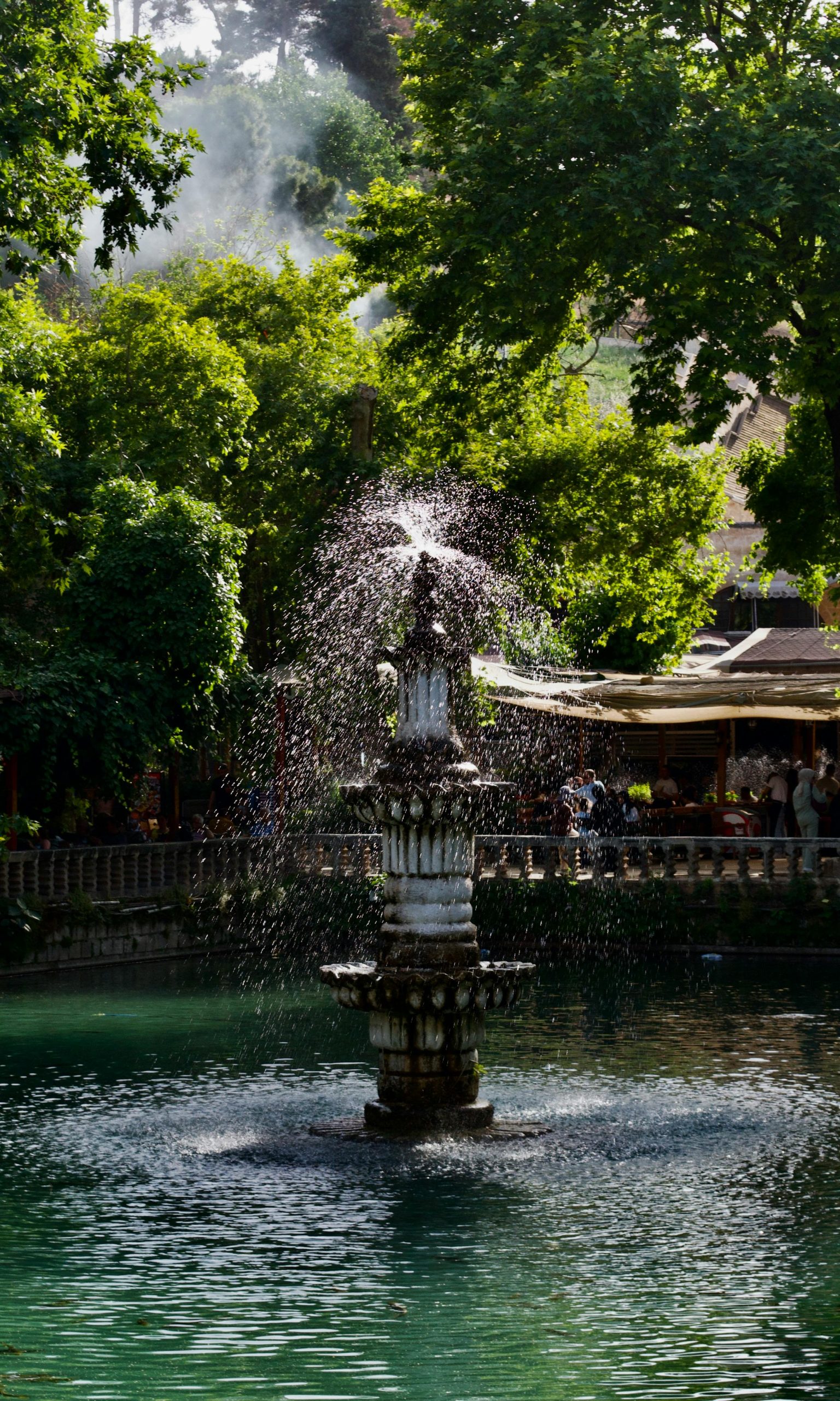 Beautiful stone fountain surrounded by vibrant greenery in a serene garden setting.