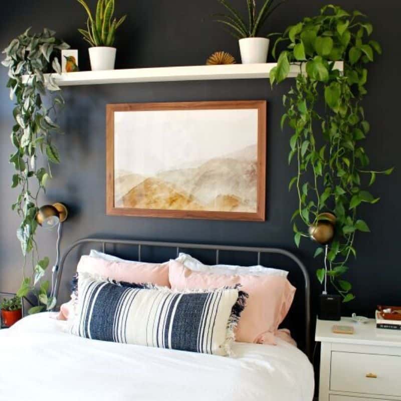 Black Accent Walls in Bedrooms for 2024