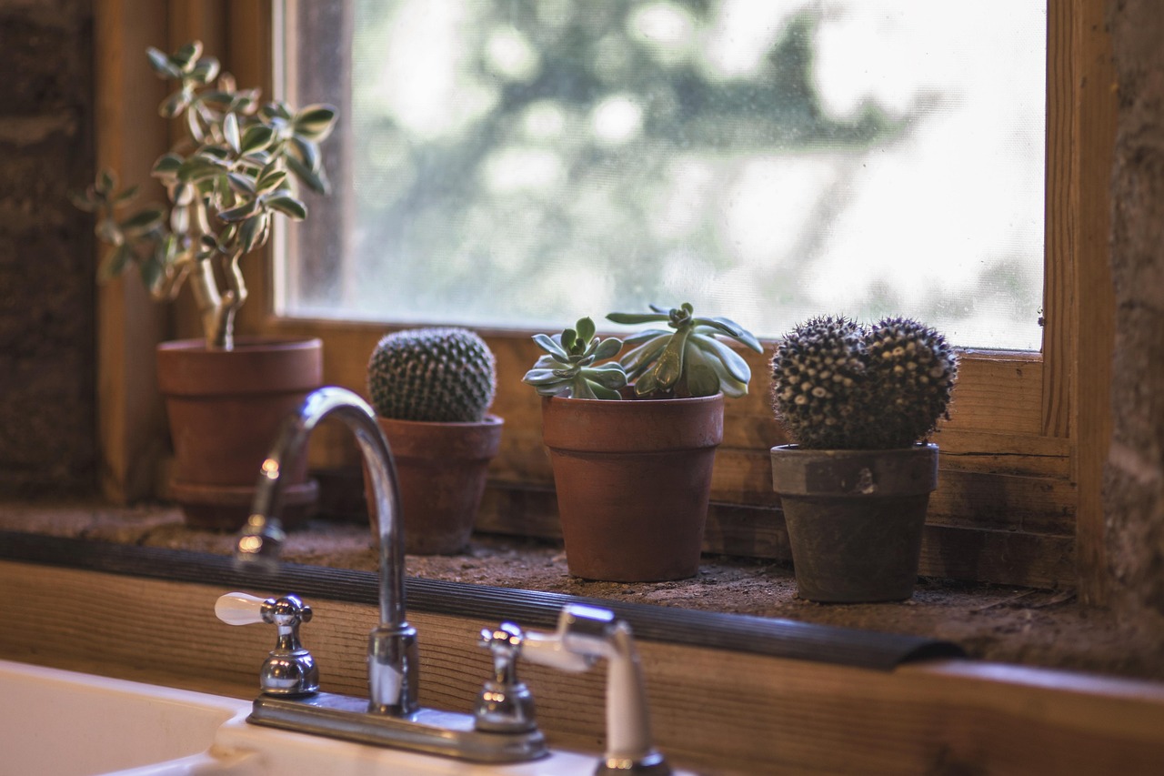 cactus, kitchen, design, interior, table, modern, sink, window, outside, inside, ledge, home, style, house, apartment, wooden, wood, estate, faucet, clean, dining, counter, indoor, lifestyle, brown ho