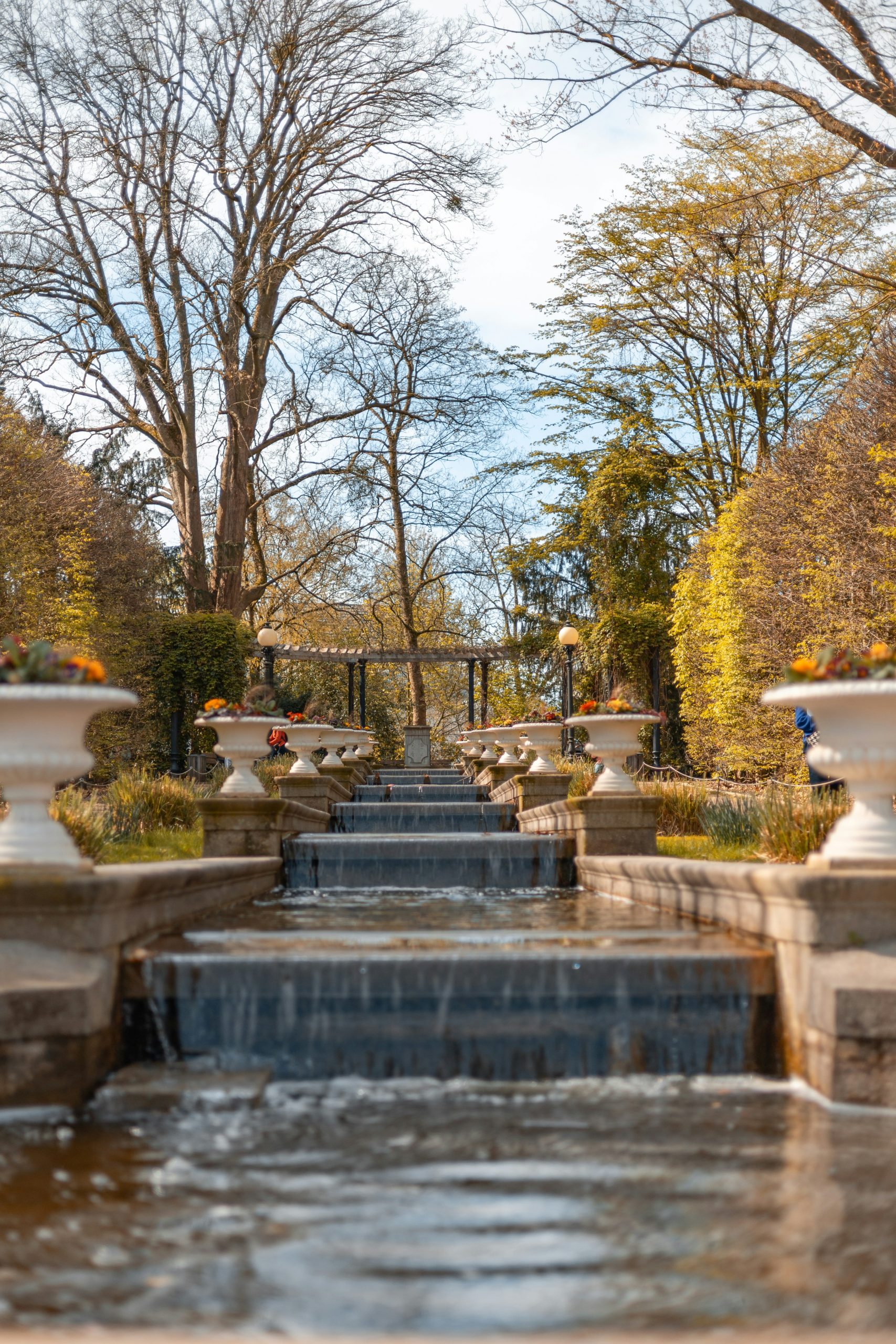 Cascading water feature in a lush garden setting