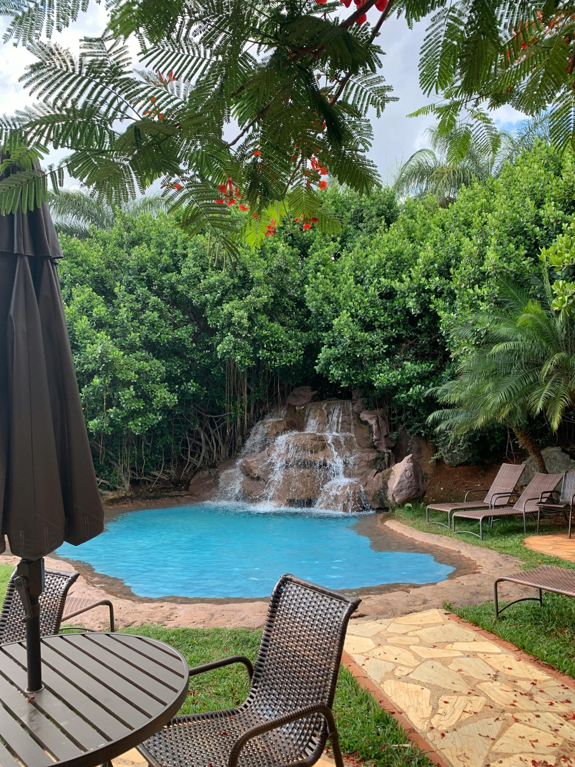 Charming backyard pool with cascading waterfall surrounded by lush greenery.
