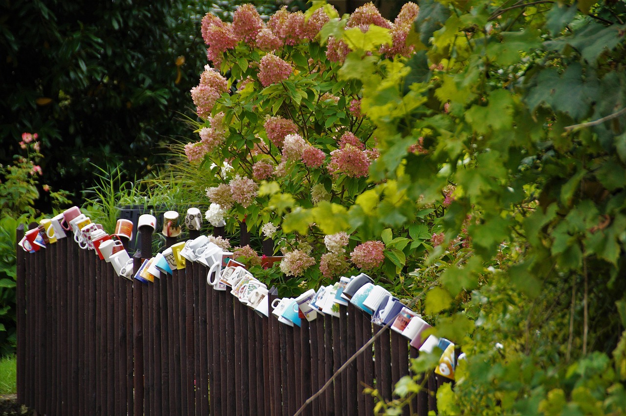 fence, wood fence, picket, cups, mugs, rural, vintage, blooming garden, hydrangea
