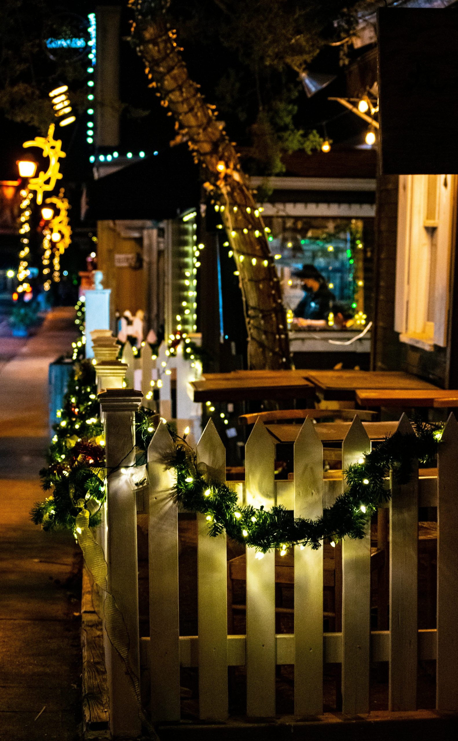 Festive Christmas lights and garlands adorning an outdoor fence in a cozy neighborhood setting at night.