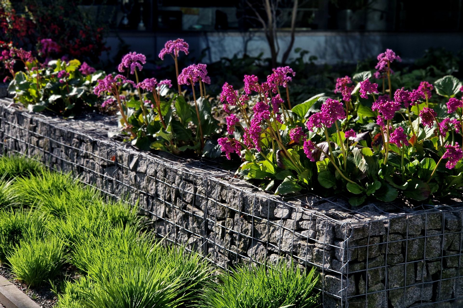 Gabion walls are the hot new trend replacing garden fences | Woman & Home