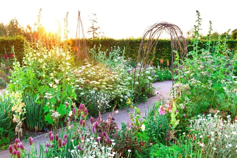 Garden design: cottage garden plants / RHS
