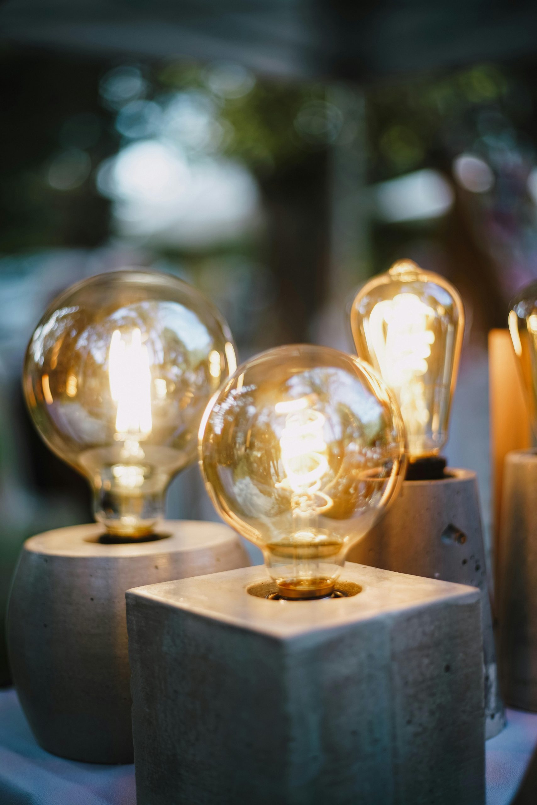Illuminated decorative light bulbs displayed in stylish concrete holders, perfect for design inspiration.