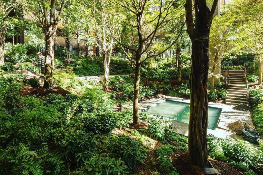 It's Always Summer At This Hidden Indoor Garden In A Midtown Office Building • Ford Foundation