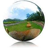 BECover 12 Inch Gazing Ball