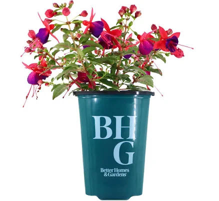 Better Homes & Gardens 9 inch Pink Pu...