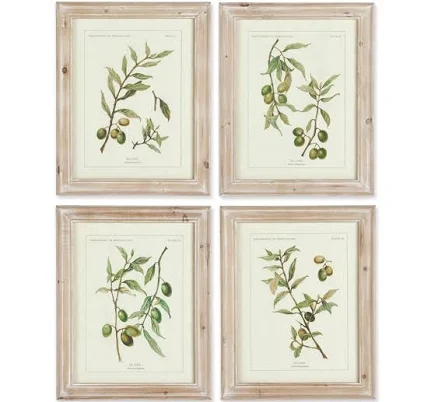 Design Shop Framed Olive Leaf Botanic...
