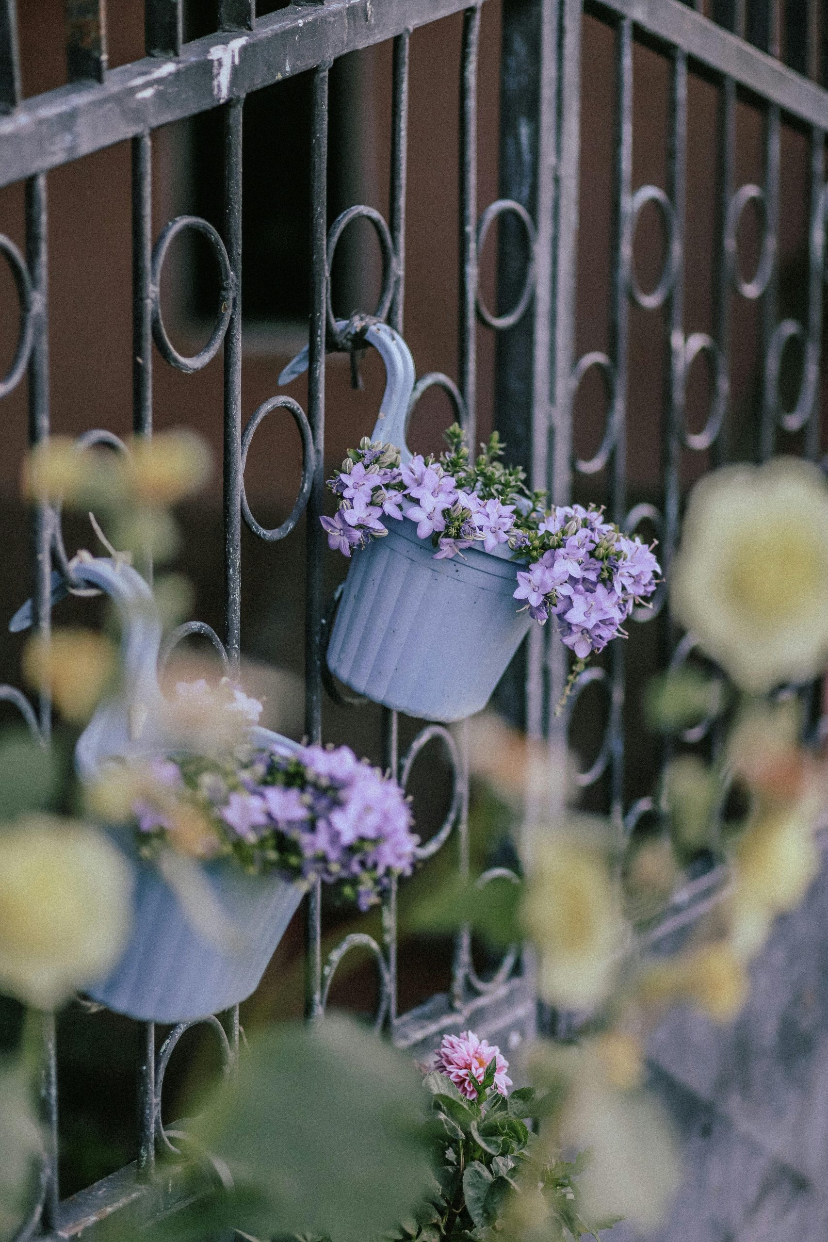 Purple flowers in hanging pots adorn a decorative iron gate, creating a serene outdoor scene.
