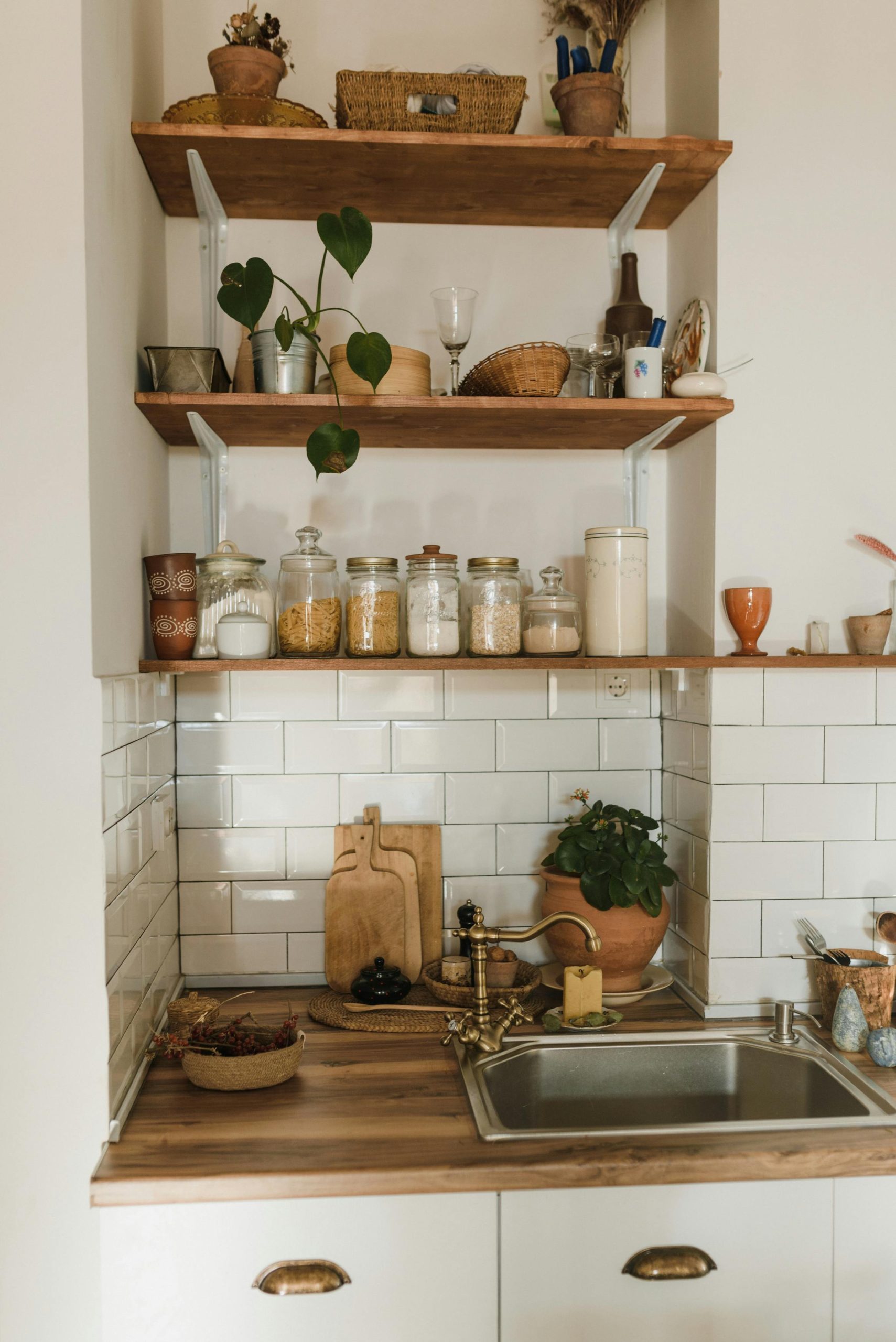 Rustic kitchen scene featuring wooden shelves with jars, plants, and utensils above a farmhouse sink.