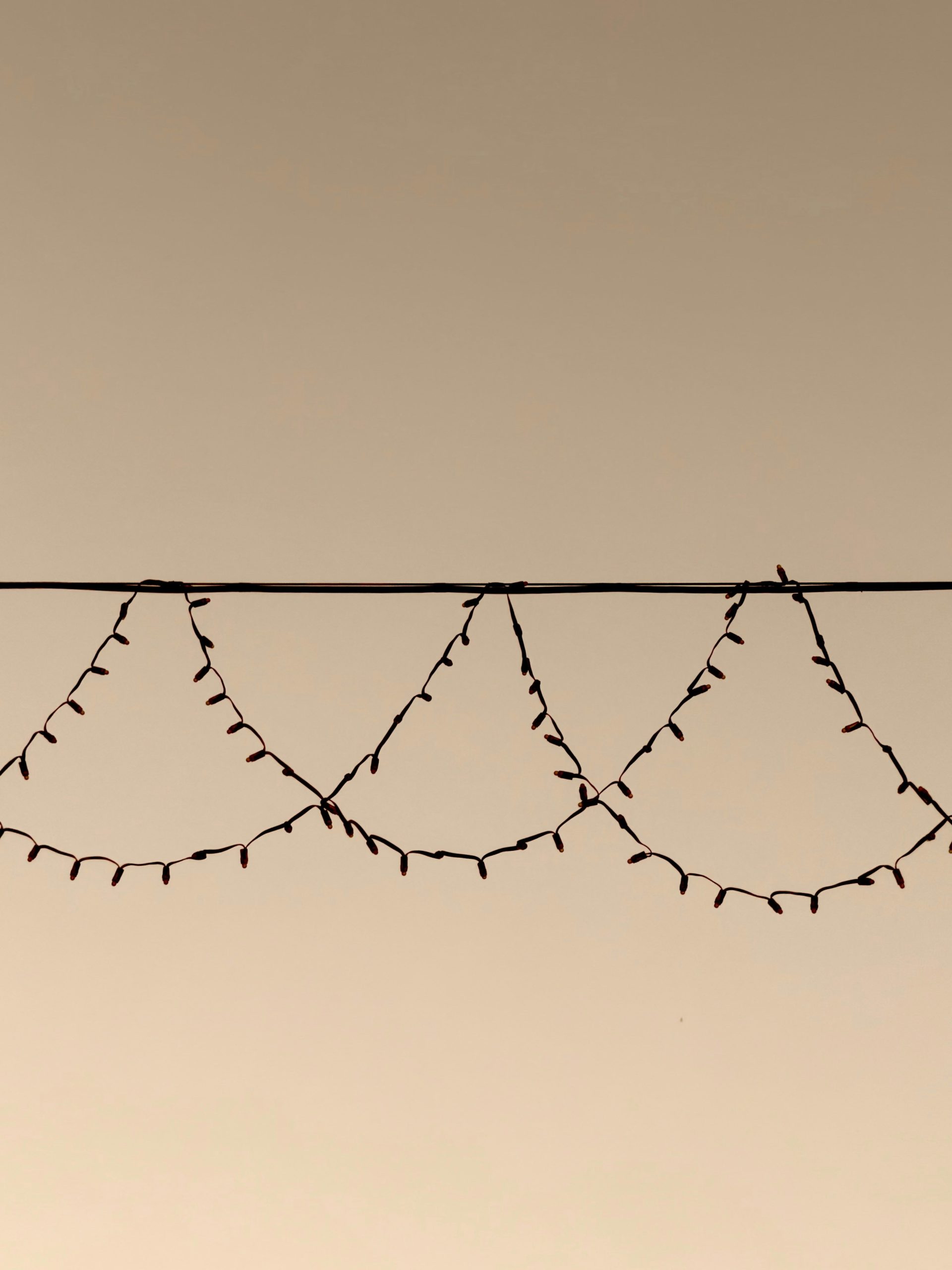 String lights hanging against a pale sky