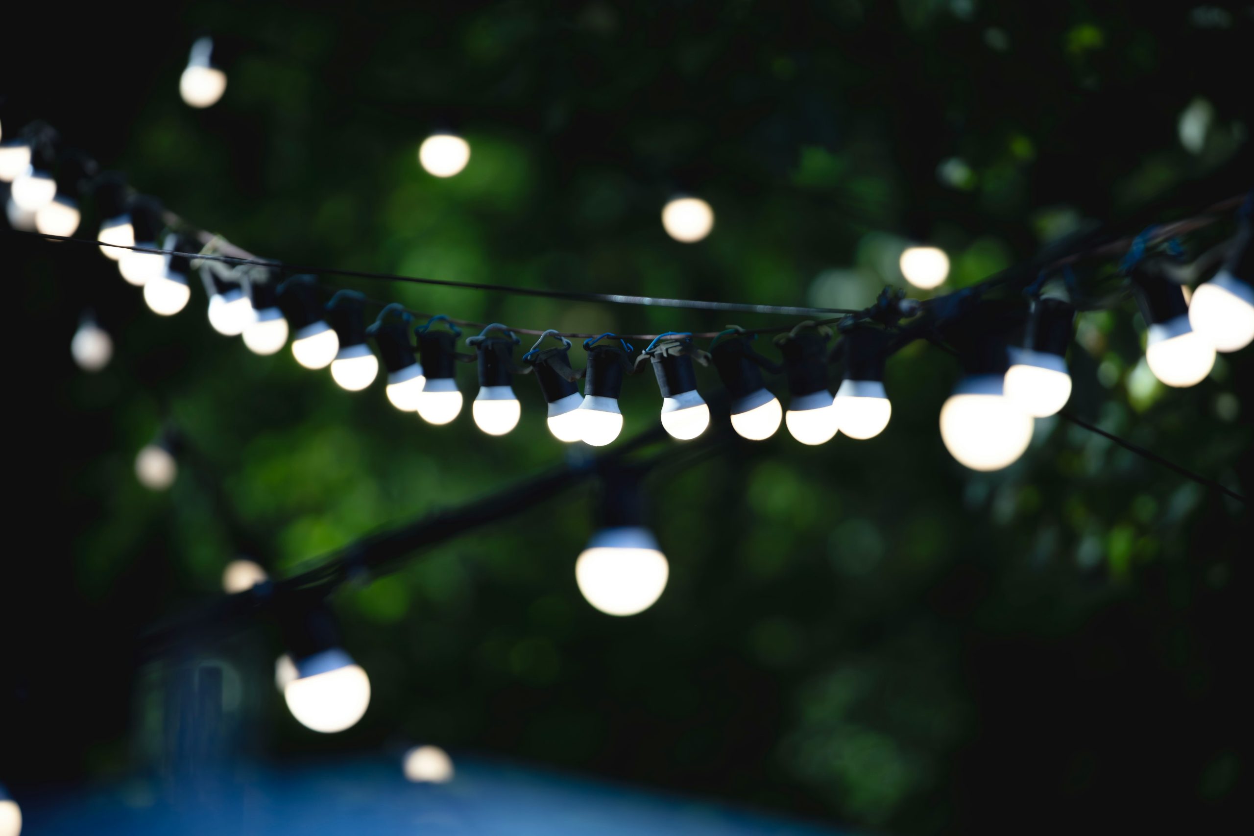 String lights illuminate a dark, leafy background.