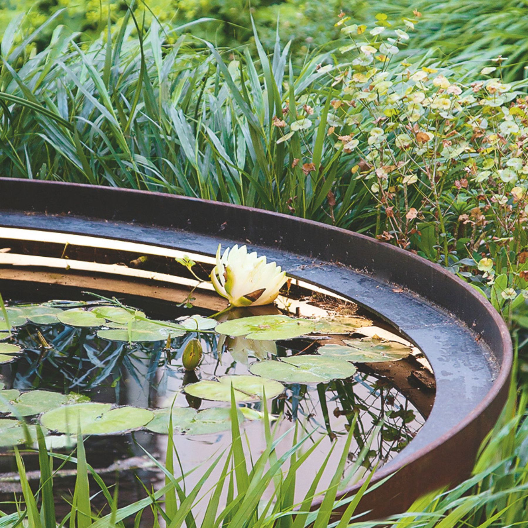 10 garden pond ideas for a tranquil, nature-friendly space | Ideal Home