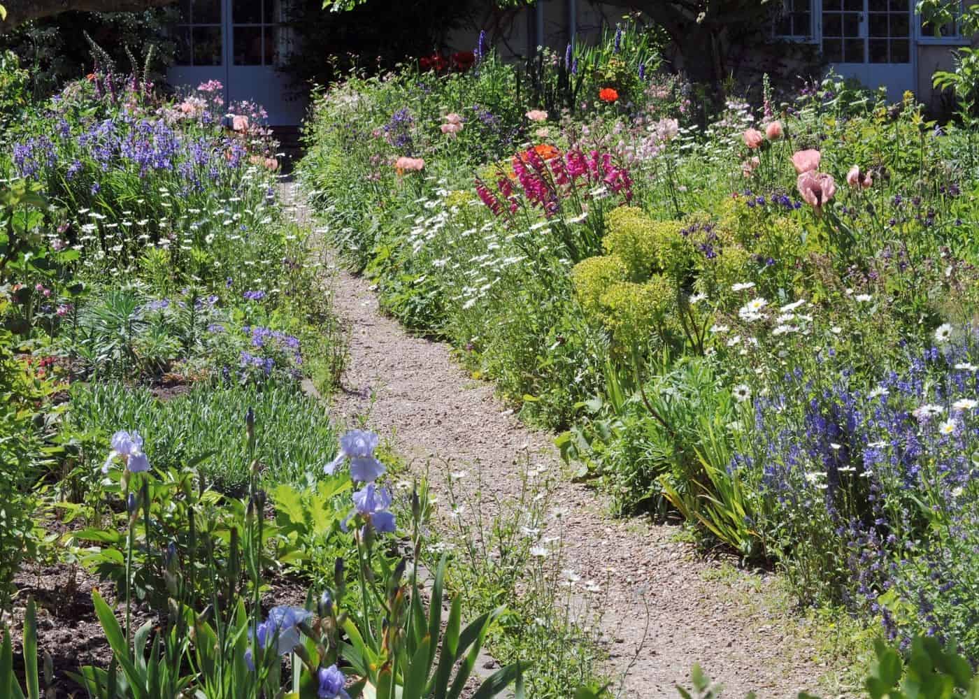10 wildflower garden ideas – Home for the Harvest