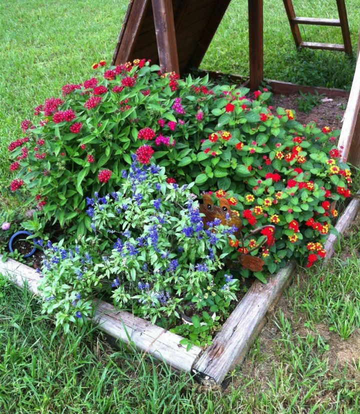 15 Easy Butterfly Garden Ideas & Butterfly Garden Guide