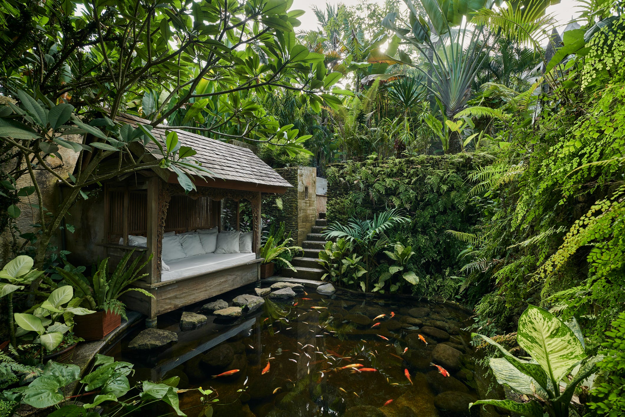 15 Koi Pond Ideas to Inspire a Serene Outdoor Space