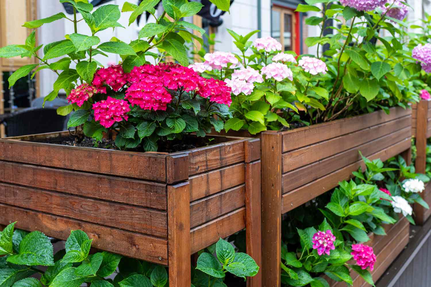 16 Raised Flower Bed Ideas That Will Add Dimension to Your Garden