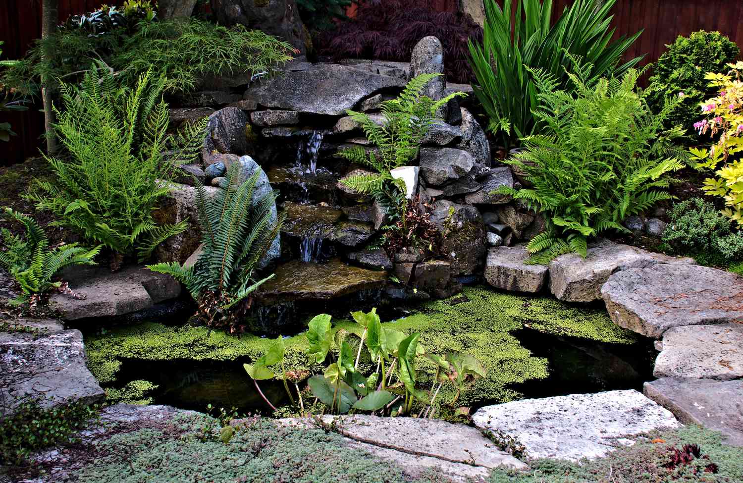 25 Small Ponds With Waterfalls Worth Adding to Your Yard