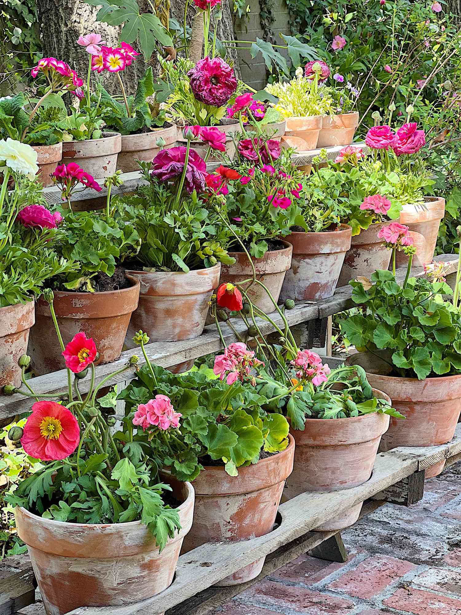 27 Eye-Catching Flower Garden Ideas and Layouts