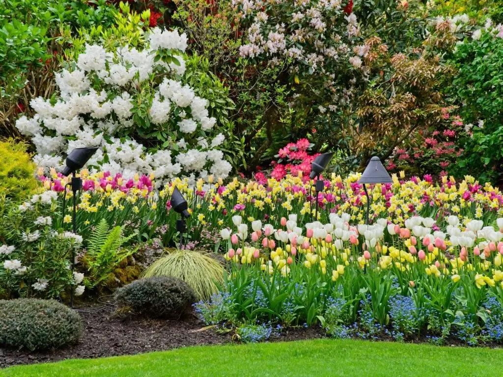 32 Flower Bed Ideas to Spruce up the Garden – Bower & Branch