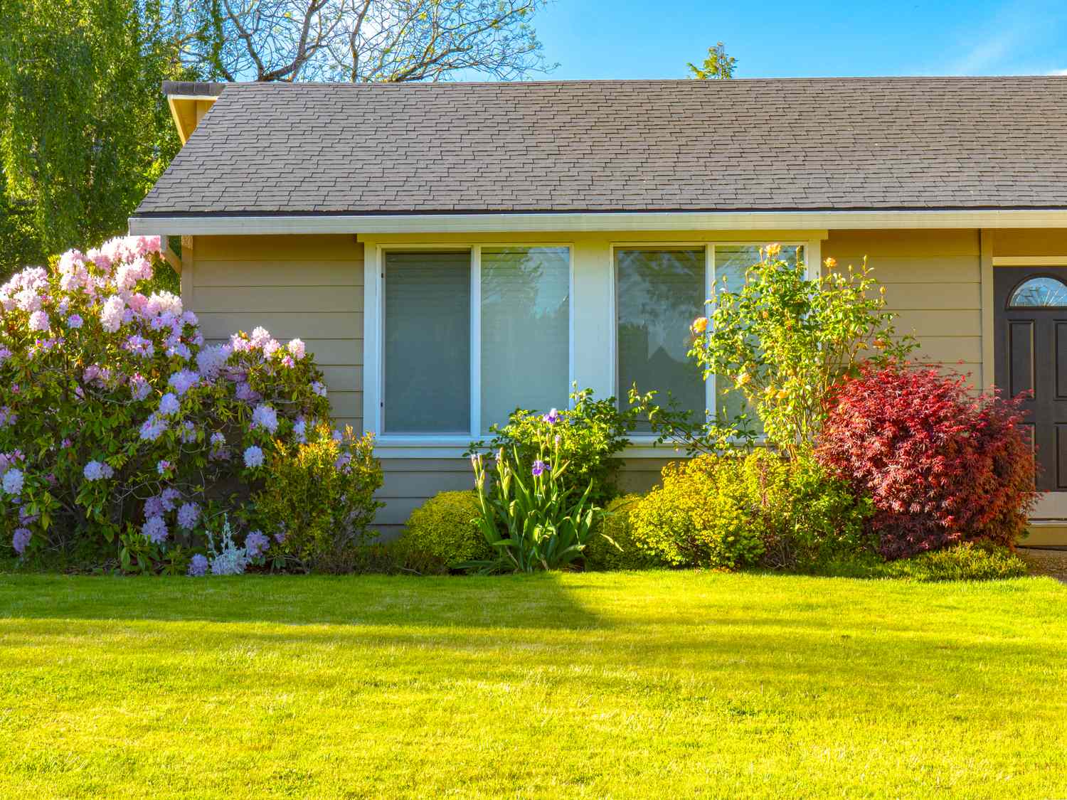 6 Best Front Yard Trends for 2026 For Spring