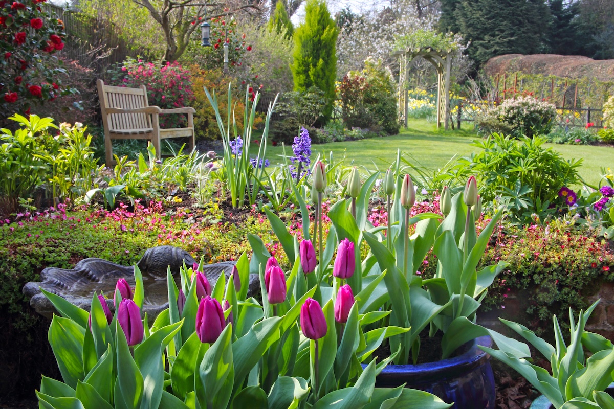 7 Garden Design Tips for Lusher Flower Beds