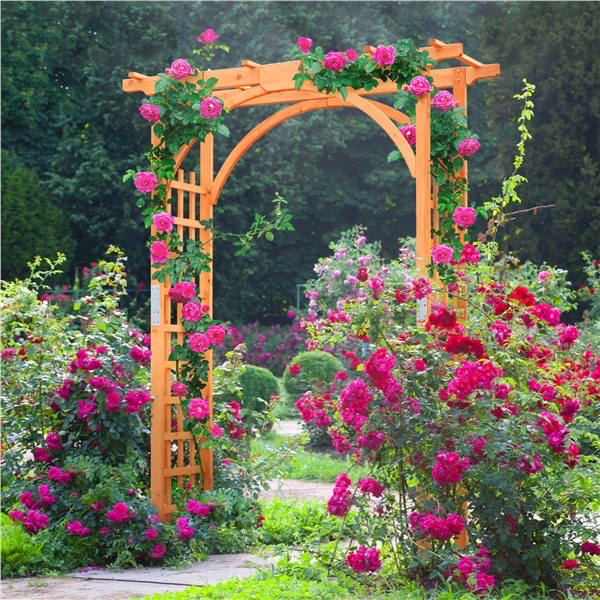 A Guide to Building a Butterfly Garden in Florida