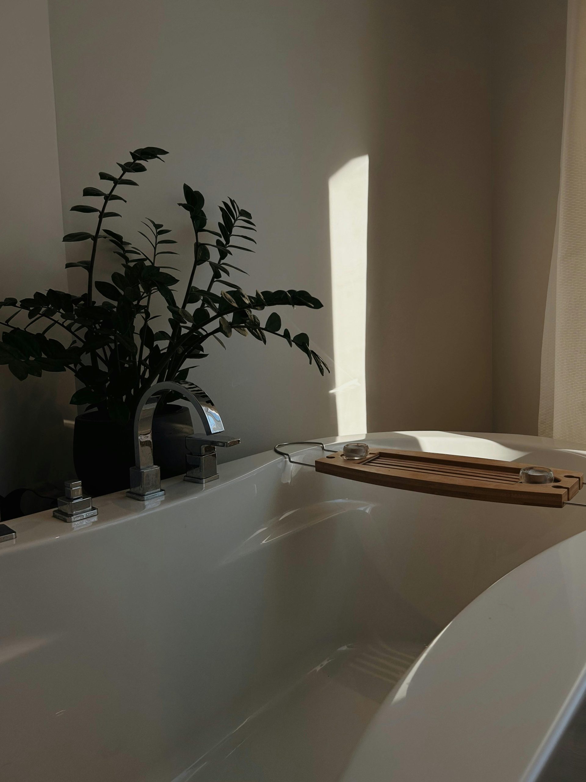 A minimalist bathroom with a bathtub and plant lit by natural sunlight.