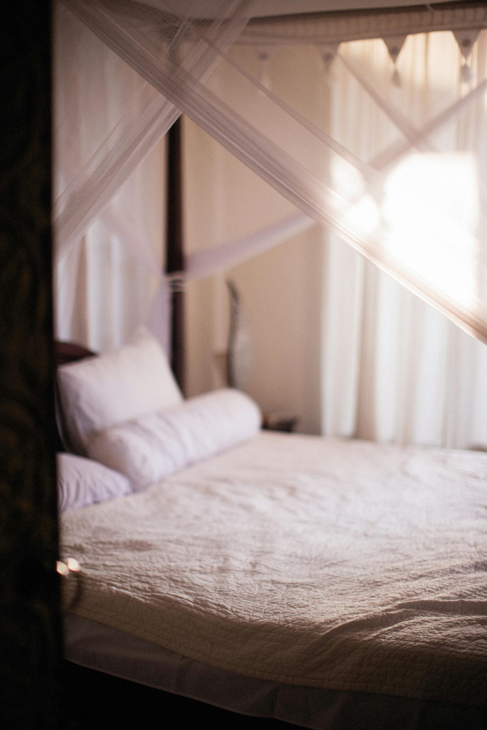 A serene sunlit bedroom with an elegant canopy bed, showcasing comfort and style.