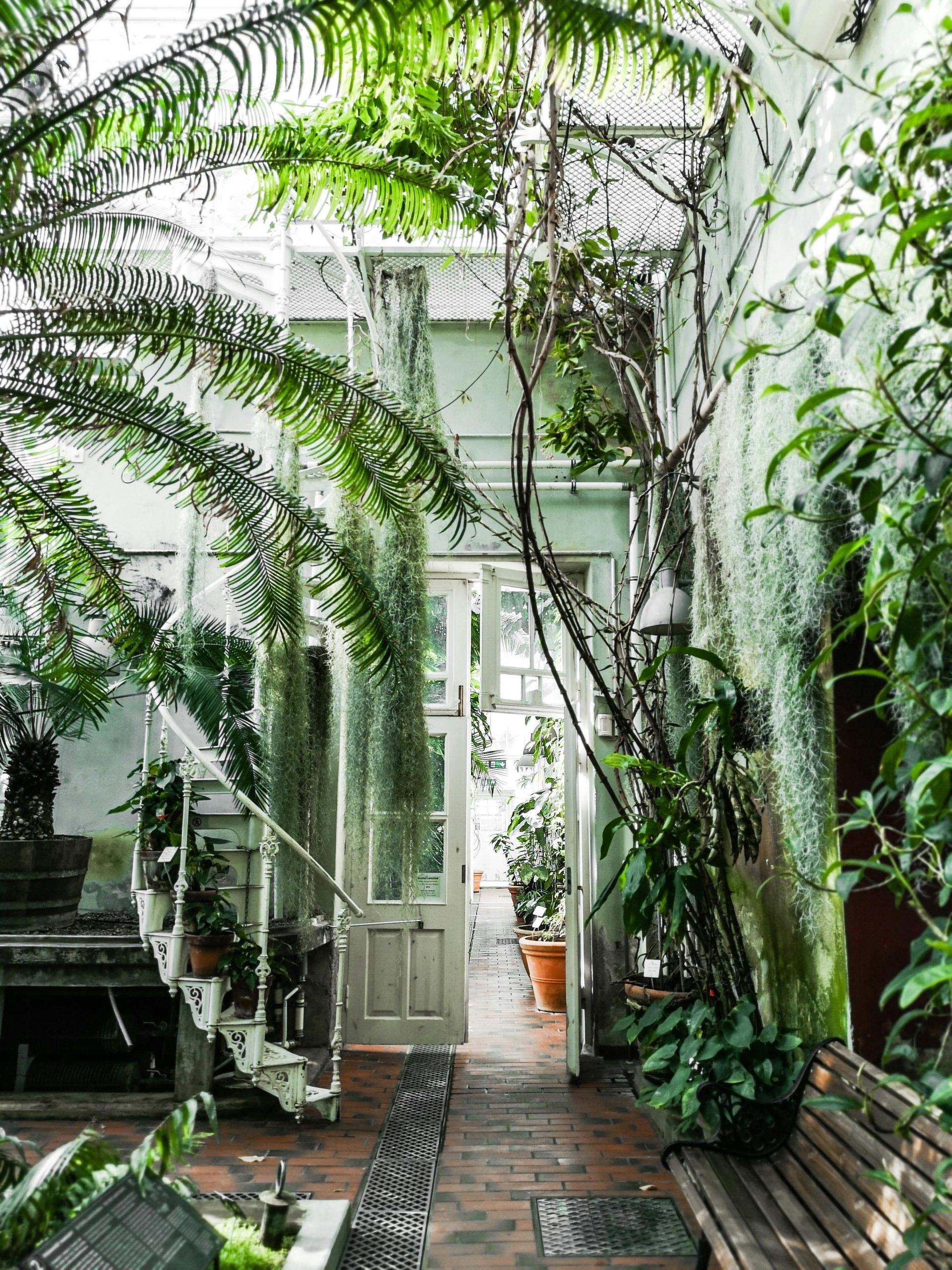 A tranquil indoor greenhouse featuring vibrant greenery, a rustic bench, and a winding staircase.