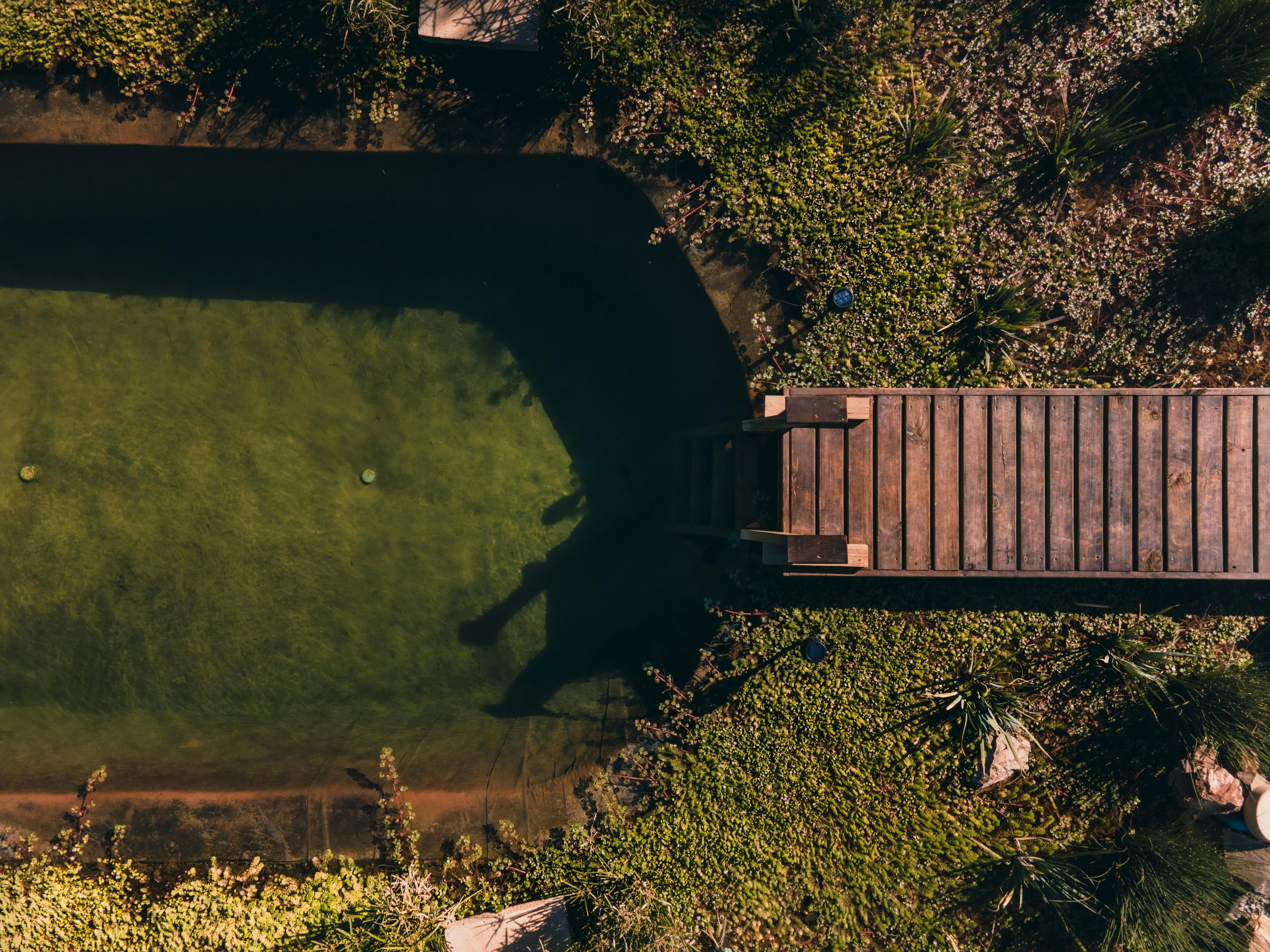 Aerial photo showcasing a wooden path over a lush green lagoon surrounded by vegetation.