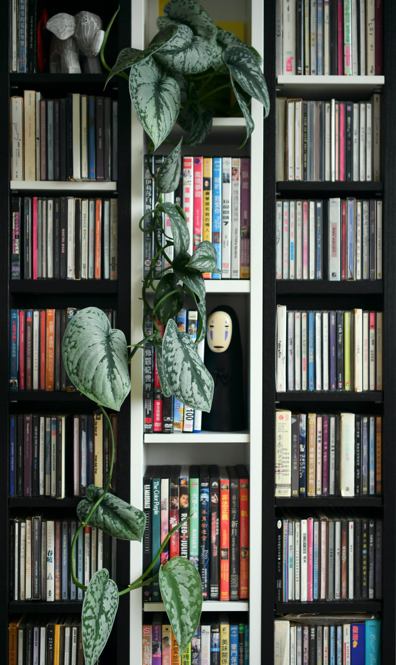 Bookshelf with a trailing plant and unique decor items, creating a cozy home library atmosphere.