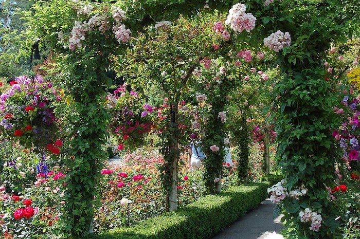 Butterfly Garden: How to Design One