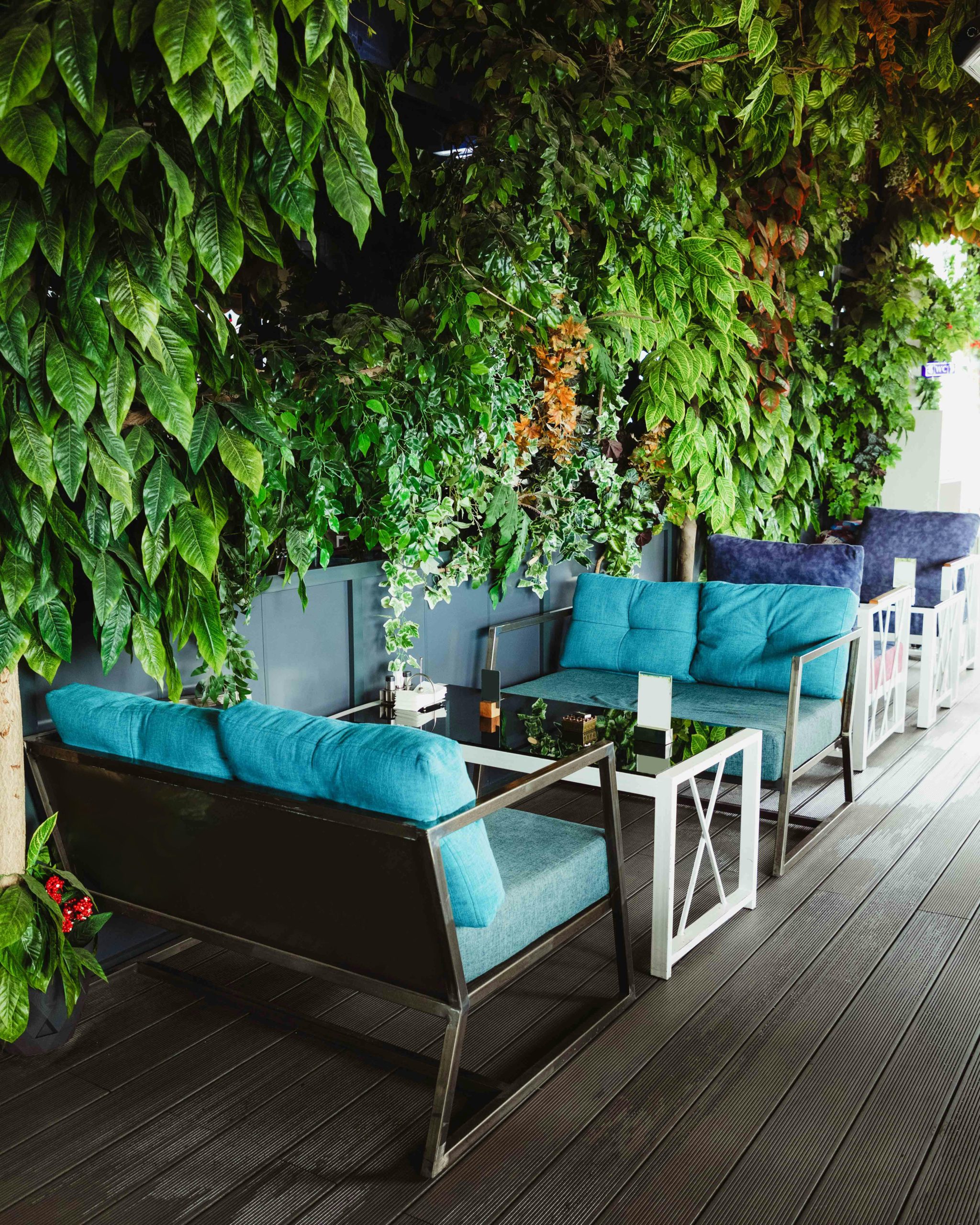 Contemporary café setting featuring lush greenery and cozy seating with vibrant cushions.