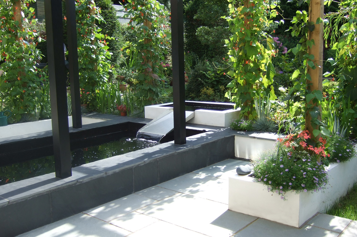Contemporary Koi Pond - Outerspace