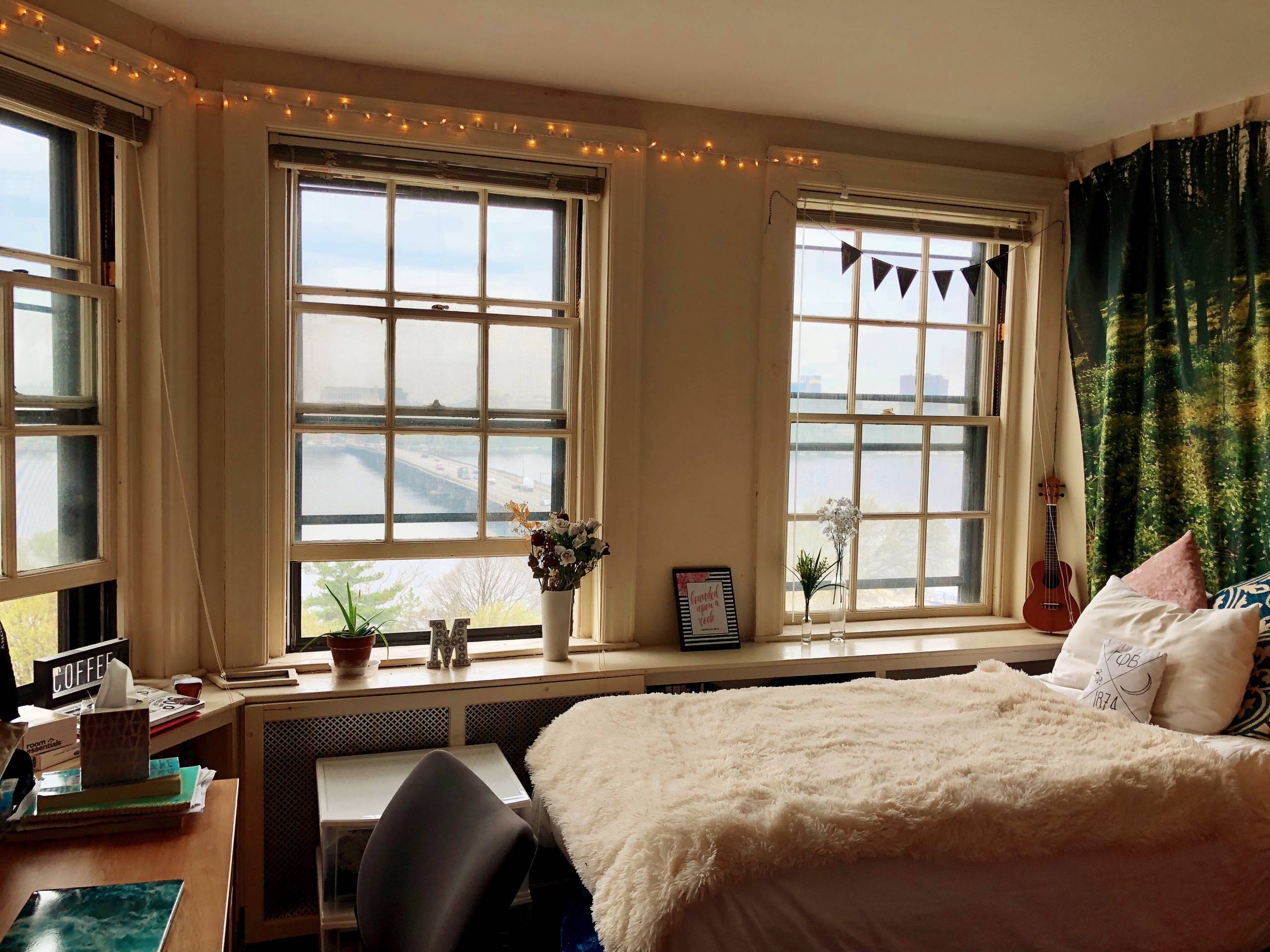 Decorating Tips From Real Dorm Rooms