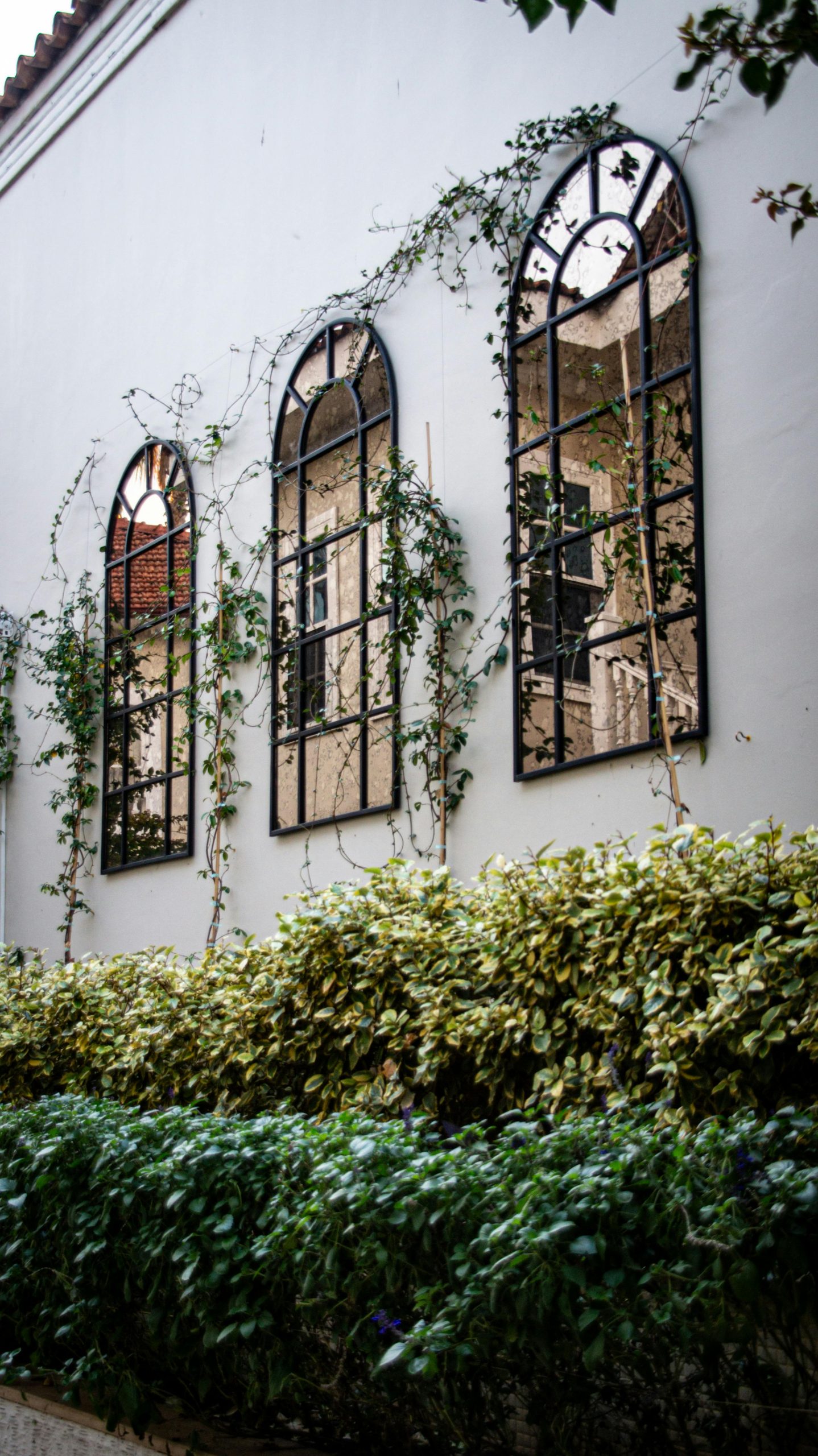 Decorative wall with reflective mirrors and lush climbing vines, creating an elegant garden facade.
