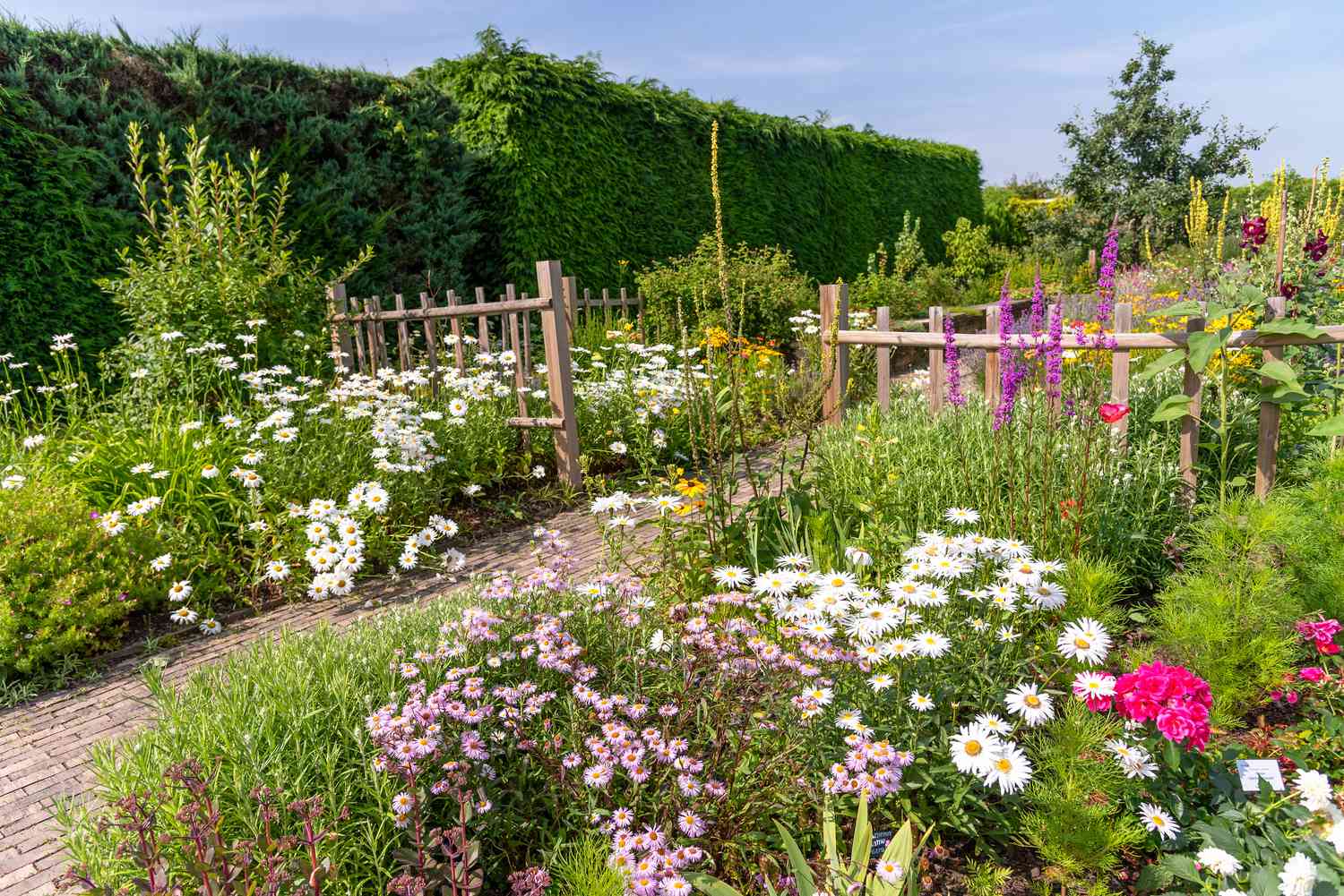Designing a Low-Maintenance Wildflower Garden