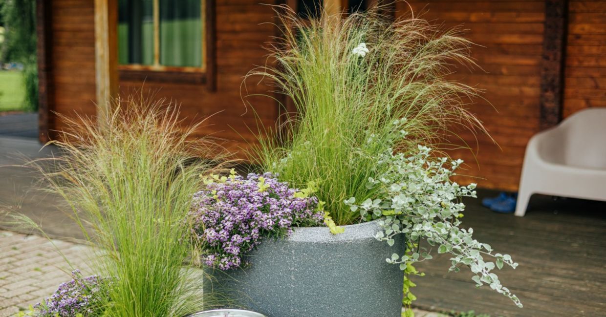 Discover 2026's Top Garden Trends - Goodnet