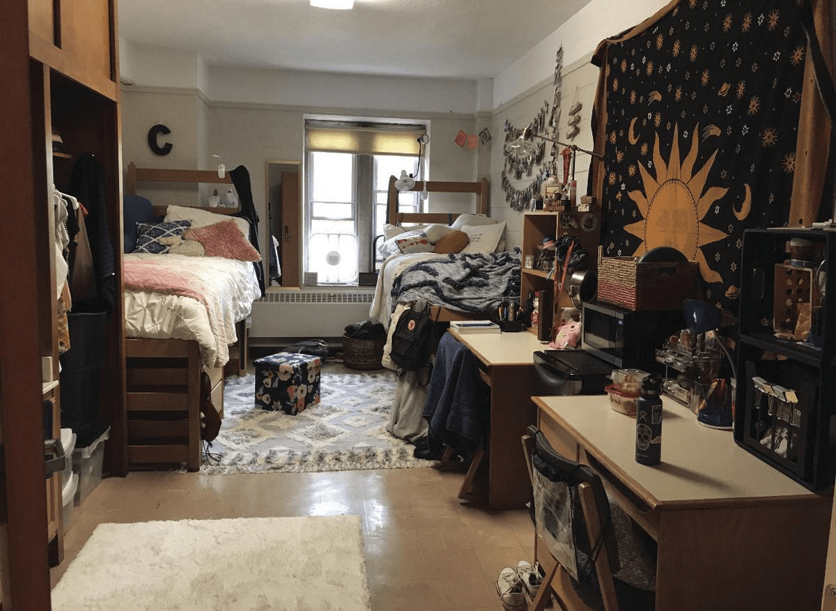 Dorm Room Decor Essentials For Stylish Students | Decoist