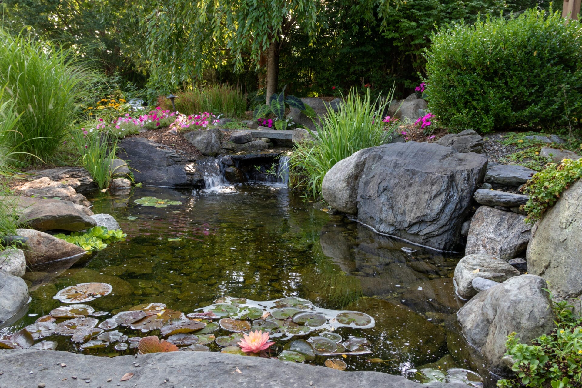 Everything You Need to Know to Build a Backyard Pond - This Old House