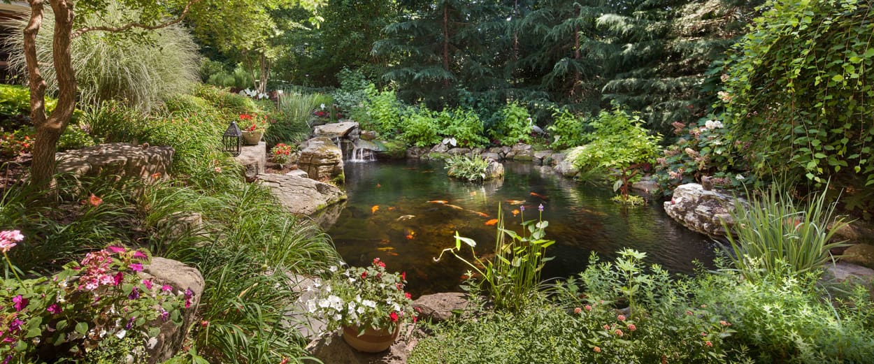 Garden Pond Design Tips