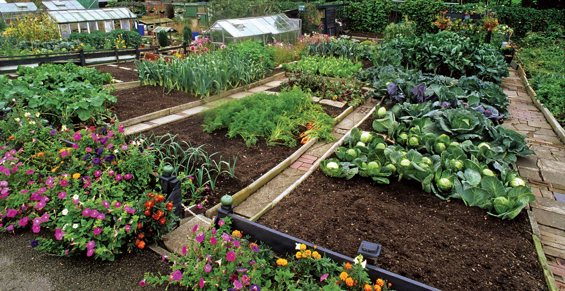 Garden Trends 2026: influential planting and landscapes | Woman & Home