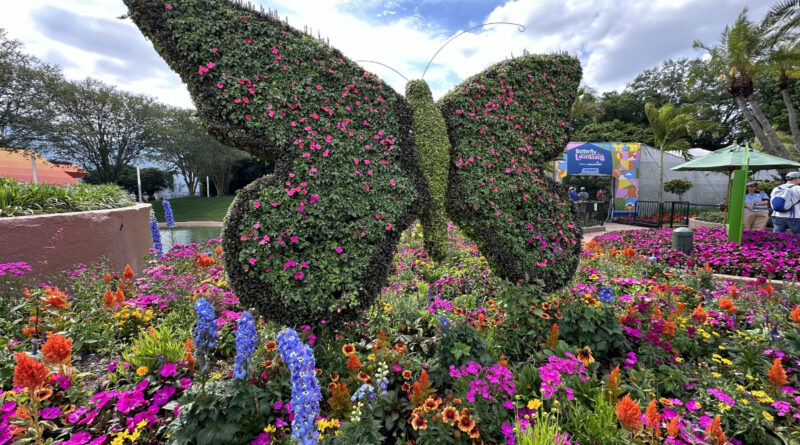 Guest Pictures: EPCOT International Flower & Garden Festival: Butterfly Landing - The Geek's Blog @ disneygeek