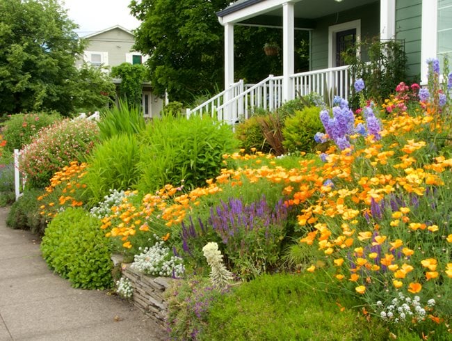 Hillside Landscaping: How to Landscape on a Slope | Garden Design