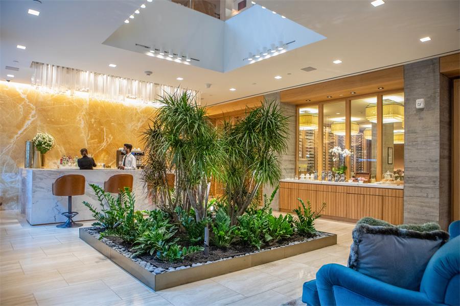 Indoor Atriums Projects | John Mini Distinctive Landscapes