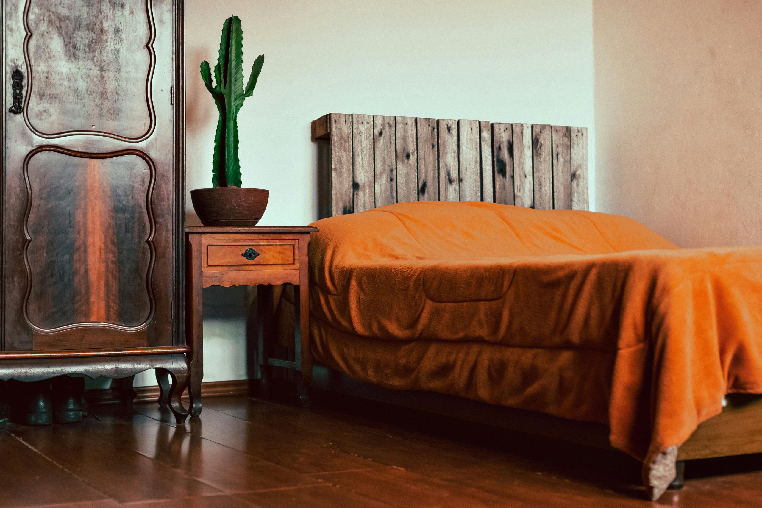 Inviting bedroom scene featuring rustic wooden furniture with a cactus plant, perfect for a warm interior design setting.