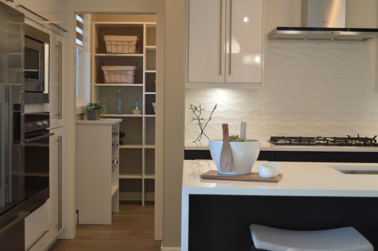 kitchen, pantry, house, home, room, modern, stove, counter, storage, cook, cooking, interior, pantry, pantry, pantry, pantry, pantry